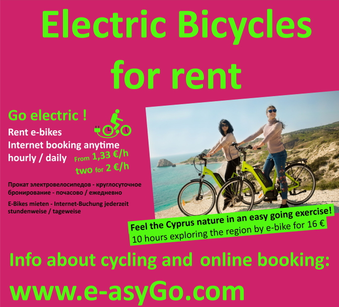 Electrical Bicycle for rent
