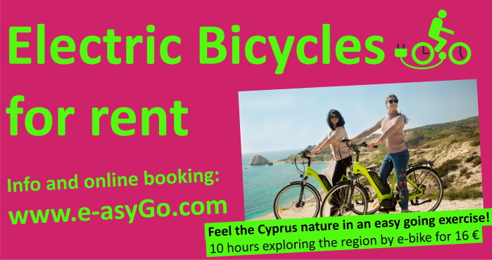 Electric Bicycles for Rent